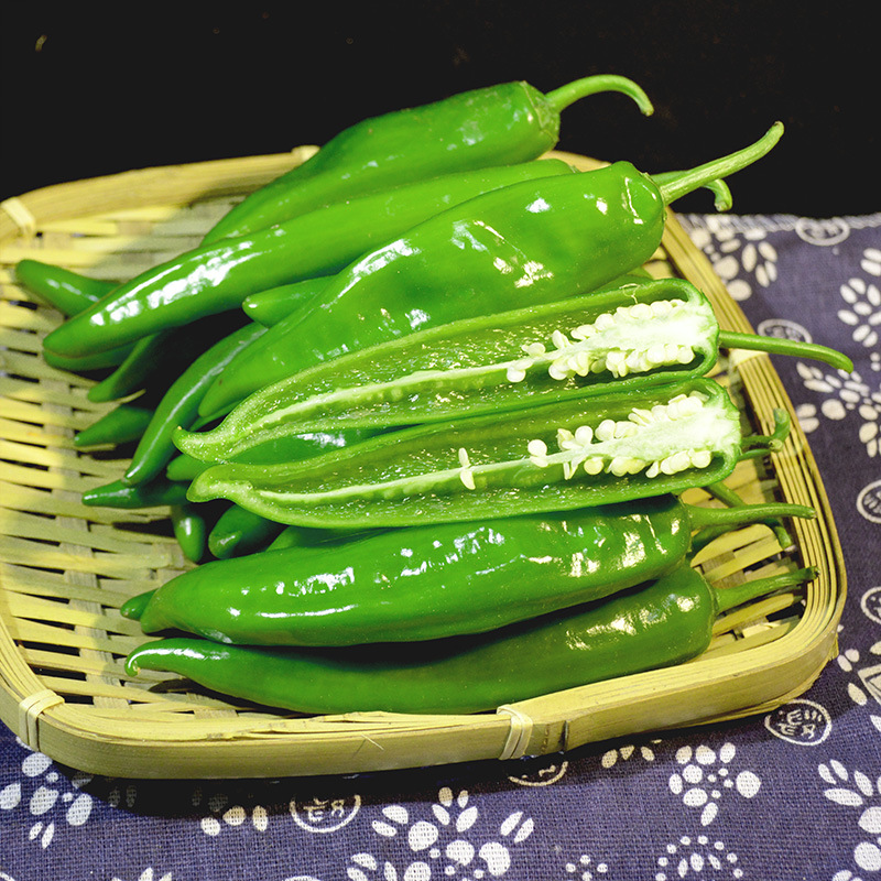 本地辣妹子薄皮土辣椒特辣农家自种蔬菜新鲜青辣椒湖南现摘青椒