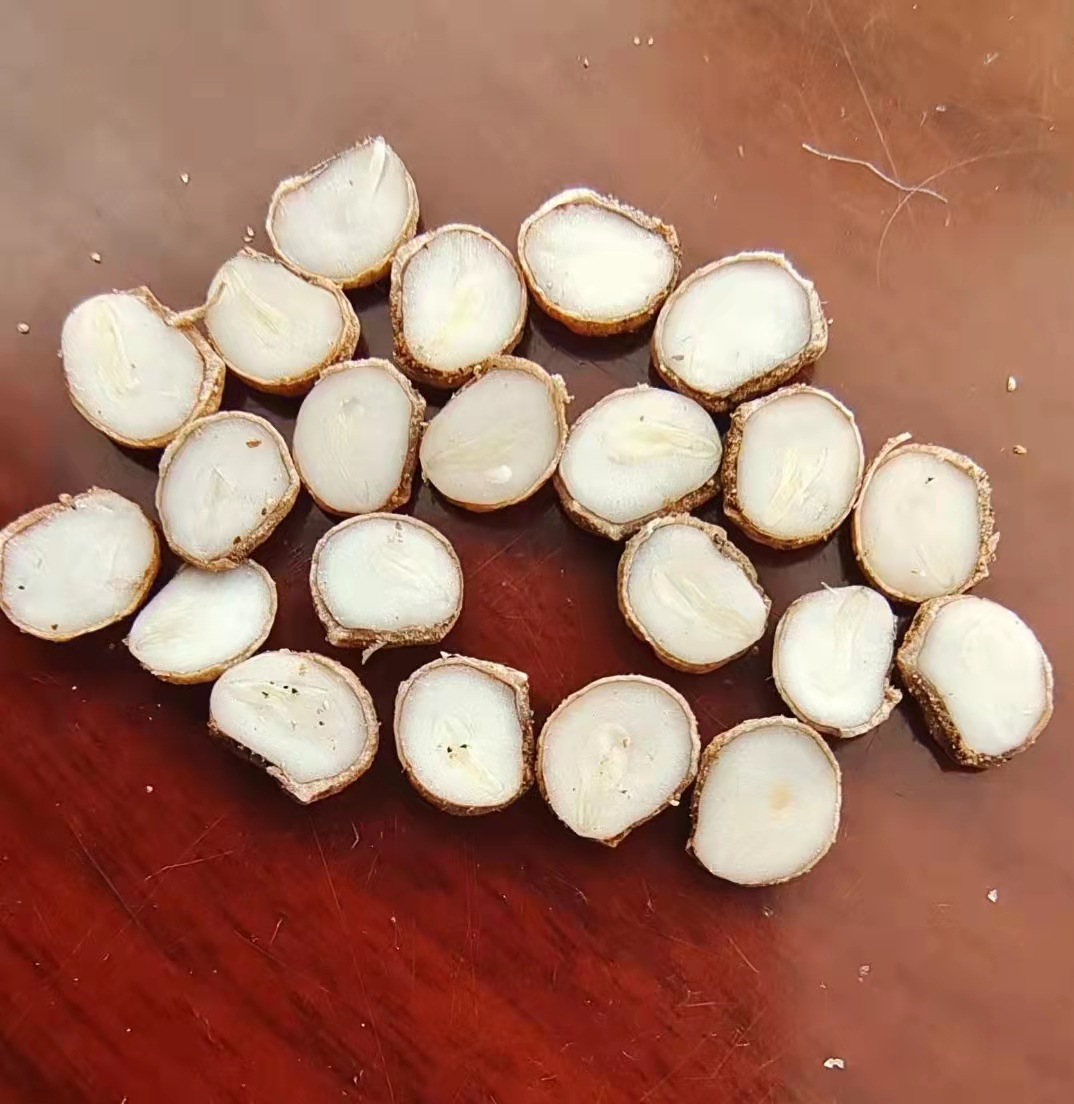 西洋参籽-阿里巴巴