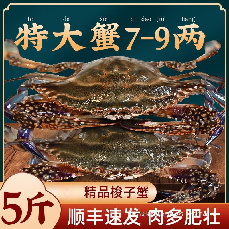 梭子蟹鲜活特大野生大螃蟹海鲜新鲜冷冻海蟹水产飞蟹白蟹顺丰