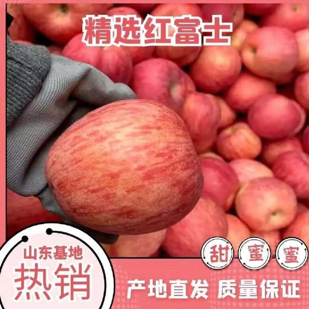 湖南永州苹果价格湖南湘西红富士苹果基地湘潭益阳红富士苹果价格