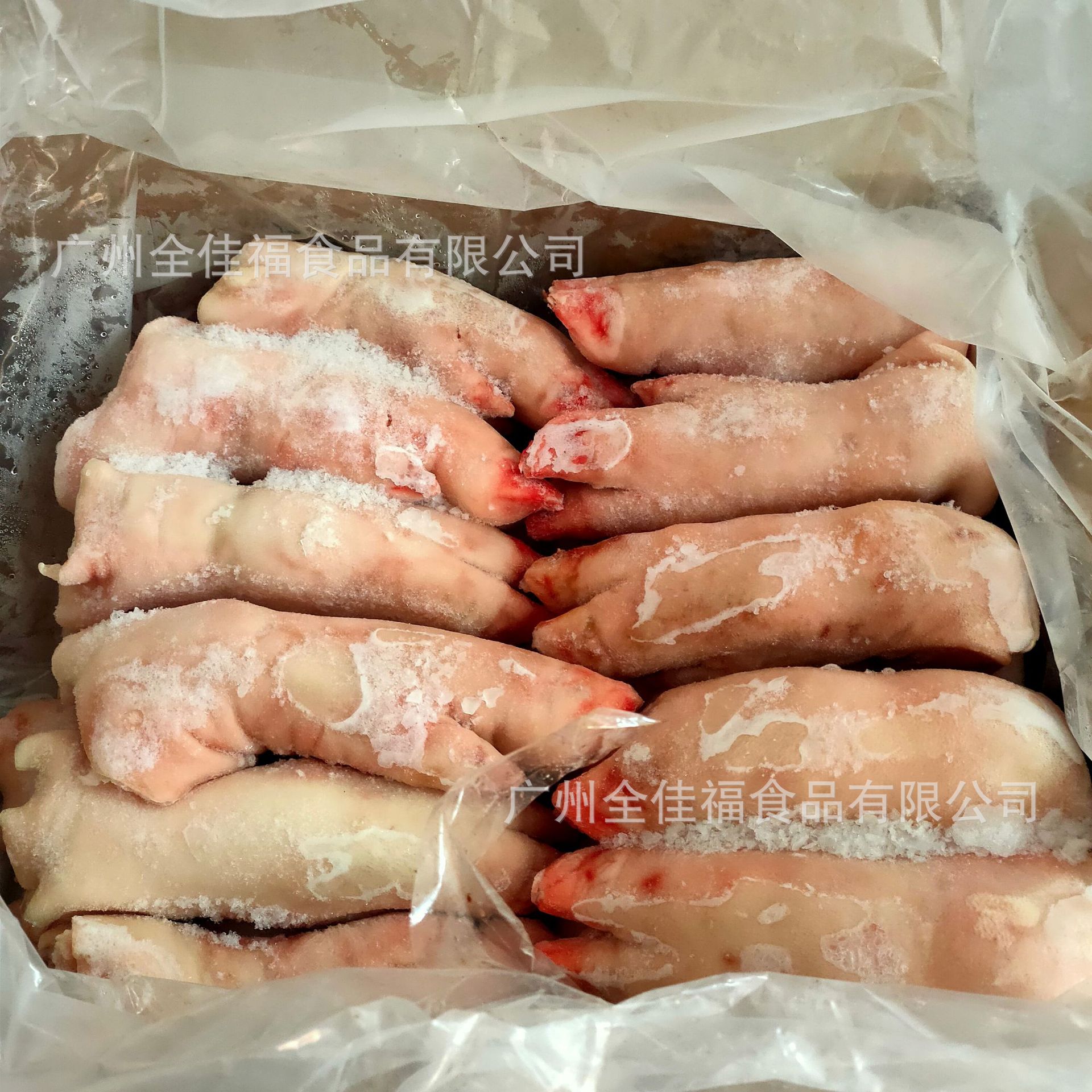 新鲜冷冻猪蹄猪脚精选无毛小前爪猪手带筋猪前蹄整箱20斤20个左右