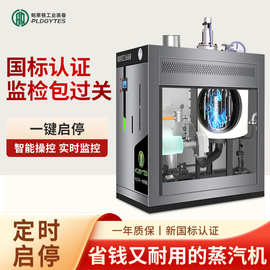 1吨燃气蒸汽锅炉全自动全预混低氮冷凝天然气蒸汽发生器