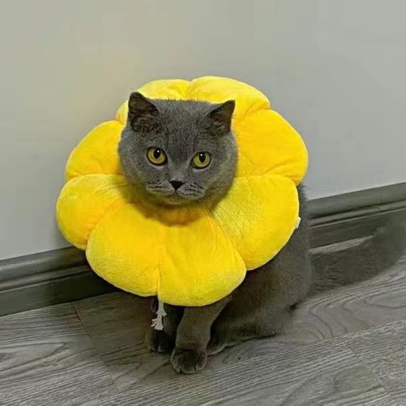 猫咪项圈伊丽莎白圈狗狗防舔软头套伊莉伊利沙白羞耻脖圈绝育用品