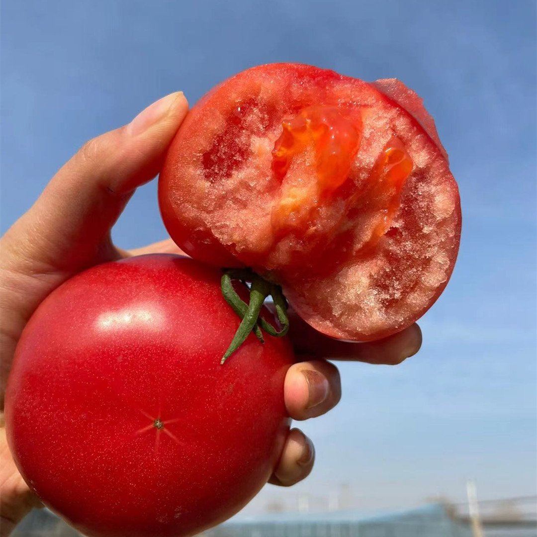 【陕西泾阳普罗旺斯西红柿】沙糯粉番茄5斤新鲜水果蔬菜一件代发