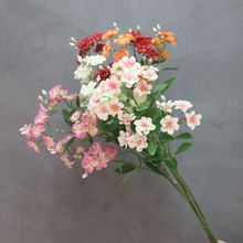 小清新菊花仿真花韩式蓝星花单枝日本蓝星花婚庆绢花吊顶厂家批发