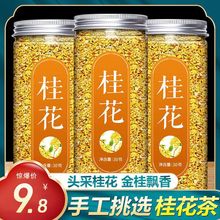 新桂花茶食用烘焙新鲜干金桂花干花新花口臭批发花草花茶泡水