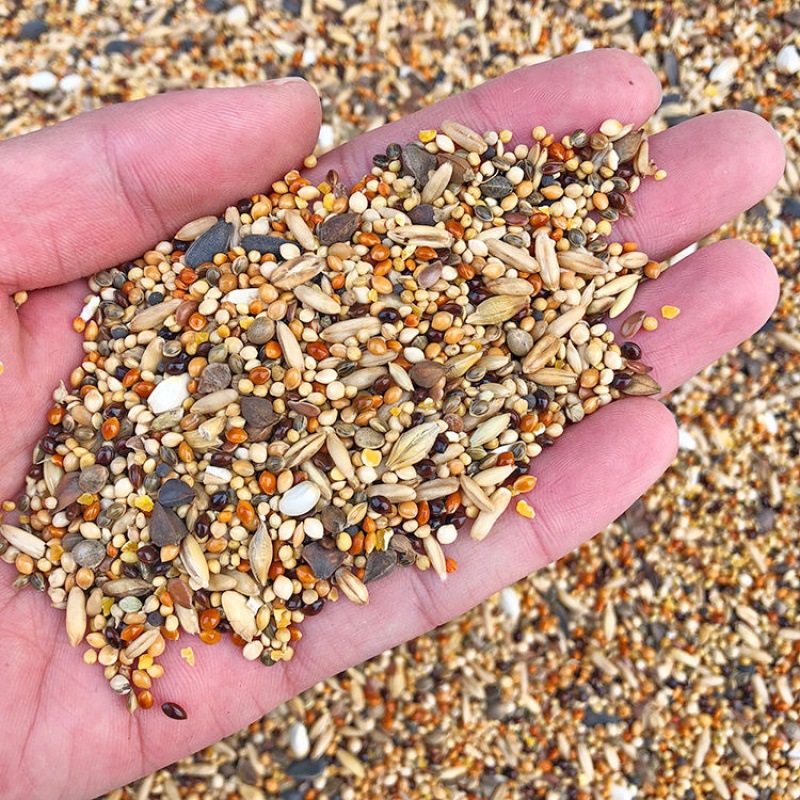 【鸟食料】-鸟食料厂家,品牌,图片,热帖-阿里巴巴