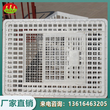 方型鸡笼 青年鸡运输笼 白色塑料鸡筐 尺寸75*54.5*27CM