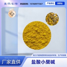 盐酸小檗碱98%  黄柏提取物 盐酸黄连素97% 工厂现货