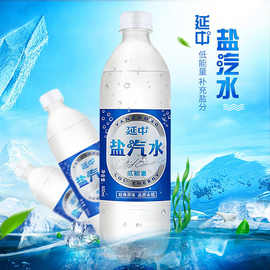 新货上海延中盐汽水碳酸饮料600ml*20瓶整箱