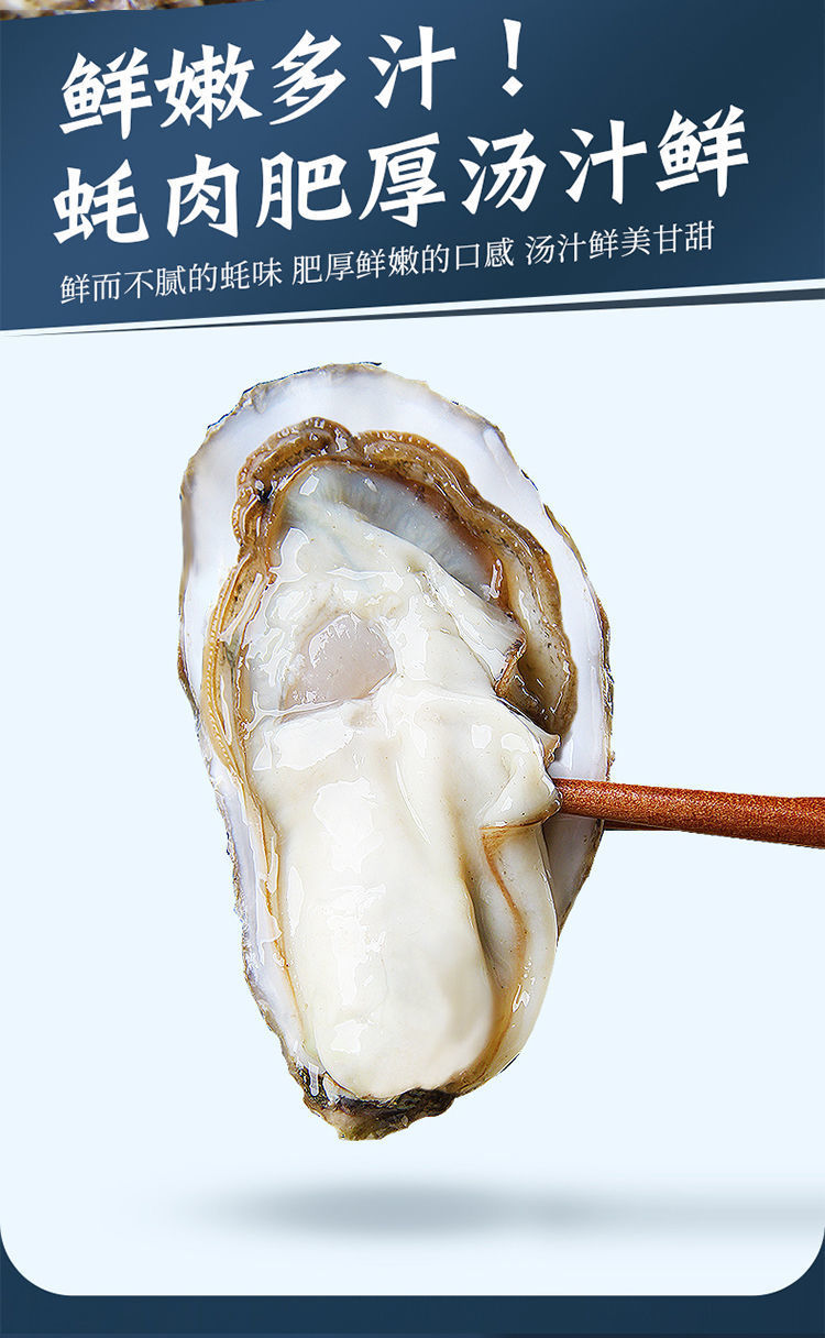 生蚝不是太大,因大小问题退款退货概不支持!