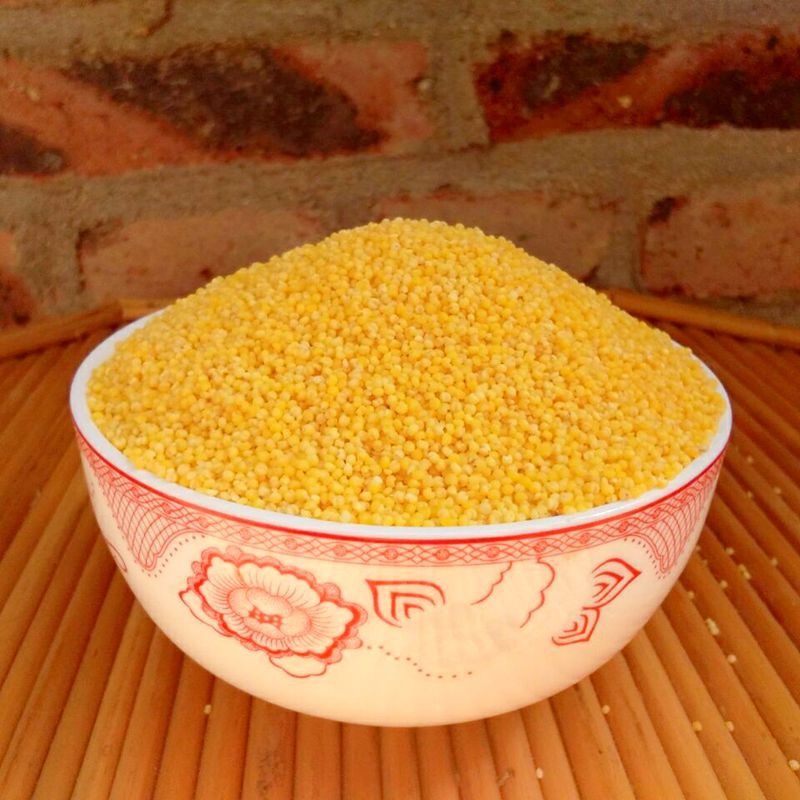 【辉渠小米】-辉渠小米厂家,品牌,图片,热帖-阿里巴巴