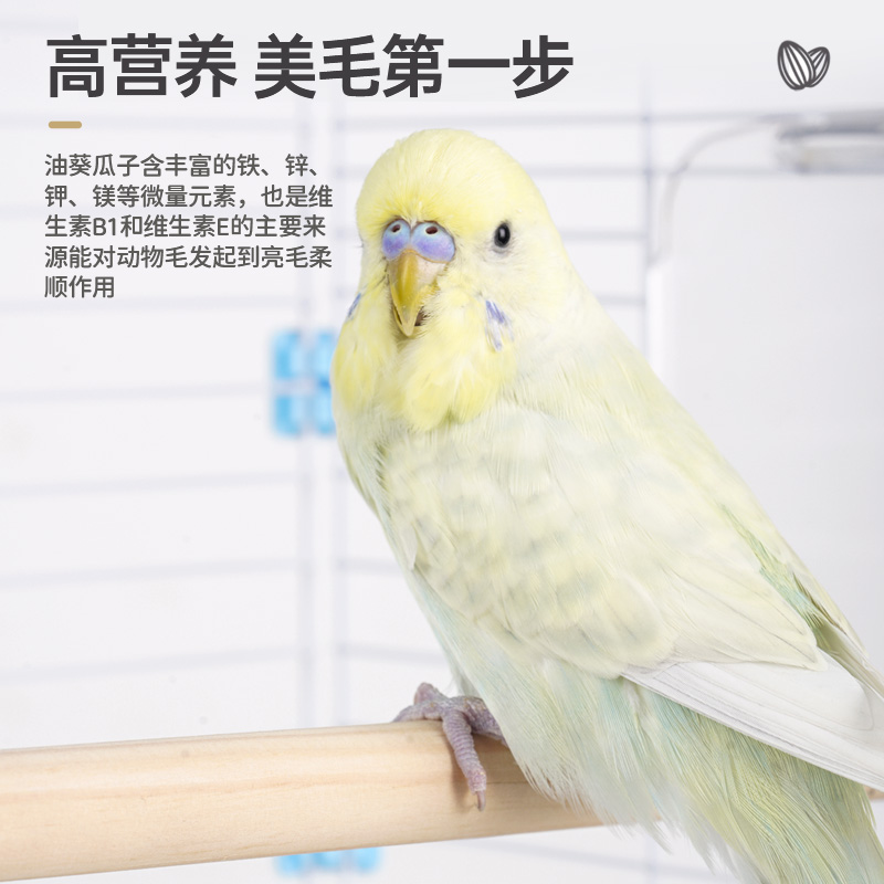 宠尚天油葵小瓜子小零食黑珍珠瓜籽虎皮牡丹玄凤鹦鹉饲料鸟粮申路