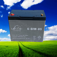 小金刚6GFM85蓄电池电动托盘搬运车堆垛叉车地牛车12V85AH电瓶