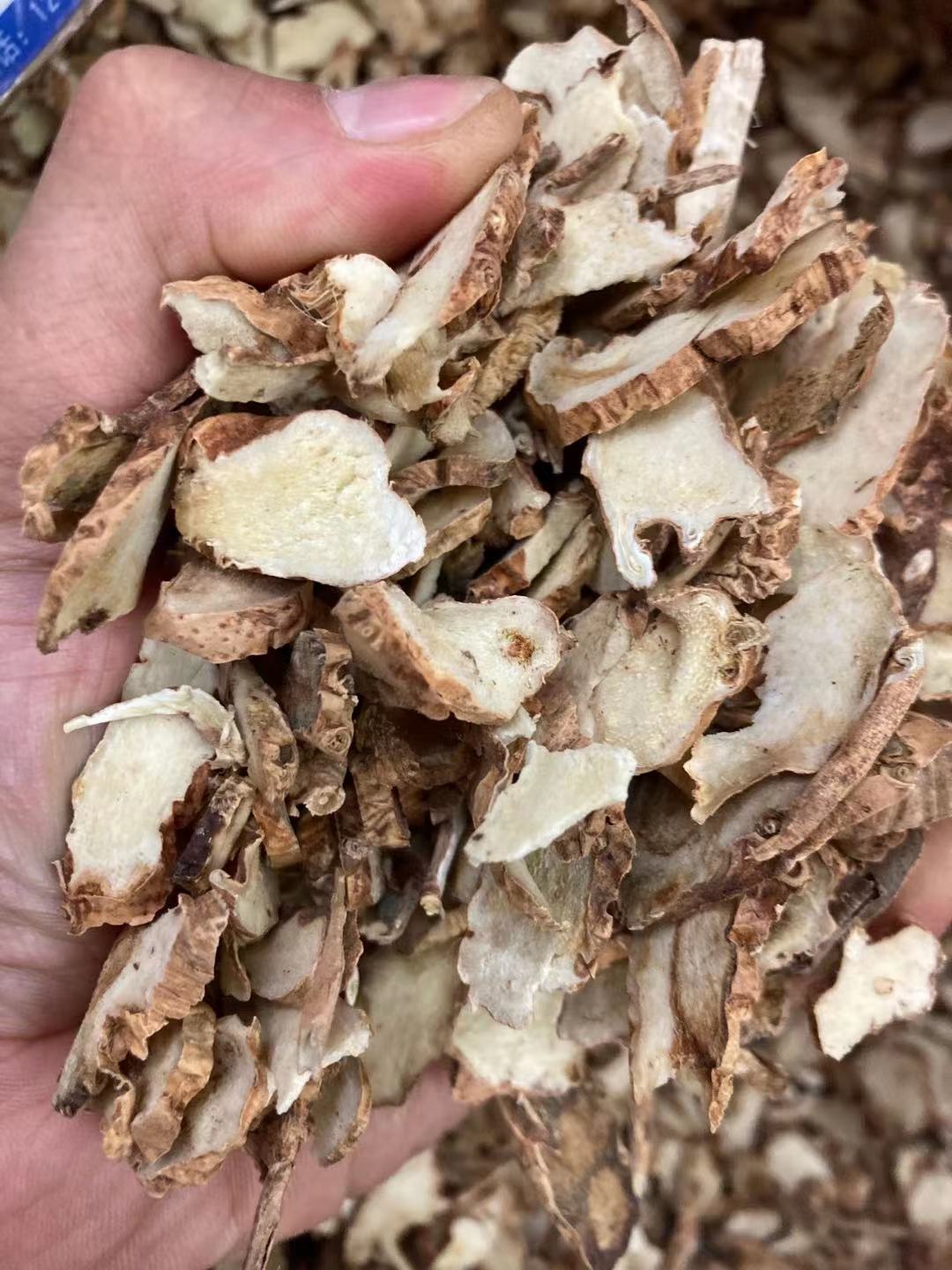 知母中药材肉知母三年毛知母知母个知母片知母丁