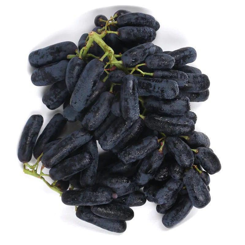 3斤可顺丰包邮 金手指黑提美人指葡萄黑手指拇指无籽提子