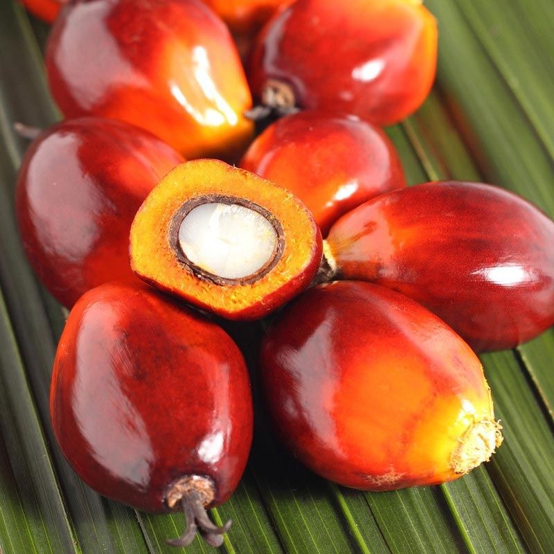 云南西双版纳特产新鲜水果油棕棕榈果油棕果500g-阿里巴巴