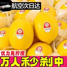 柠檬安岳黄柠檬新鲜柠檬生鲜水果柠檬薄皮柠檬泡水整箱批发多规格