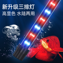 超亮鱼缸灯led灯防水灯水中照明灯水陆两用水族箱潜水增艳龙鱼灯