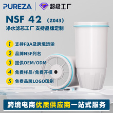Z043碧纯净水滤芯活性炭过滤器滤芯ZR-001适配于ZeroWate水壶滤芯