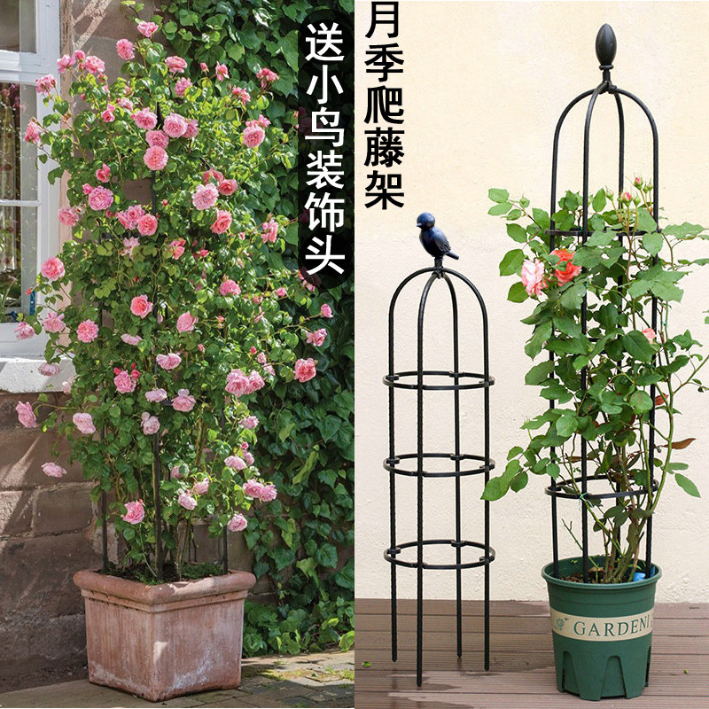 阳台户外绿萝月季爬藤架花架子植物铁线莲攀爬支架包塑花柱支撑杆