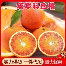 四川塔罗科血橙10斤整箱橙子3新鲜水果批发5红心橙脐橙中华红血橙