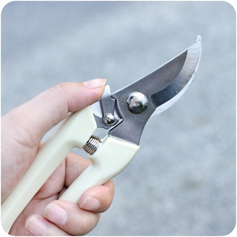 修剪刀盆栽不锈钢艺园果园修枝花木盆景强力家用钳子剪枝角落园