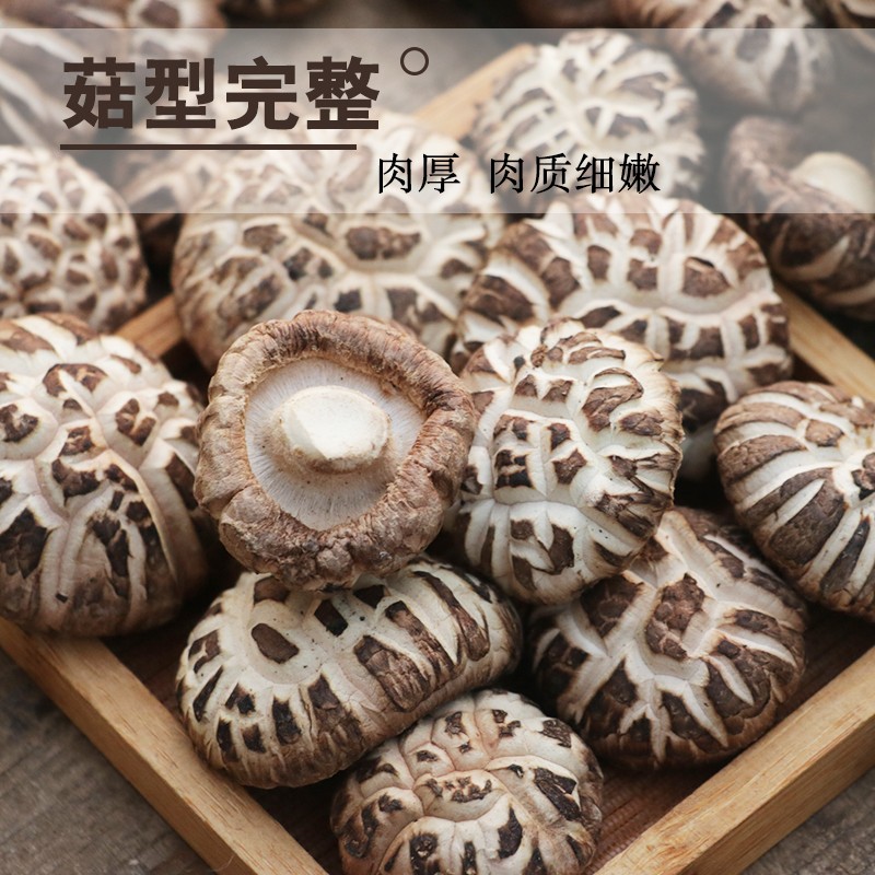 花菇椴木野生花菇500g干货椴木肉厚大花菇香菇小干香菇食用农产品