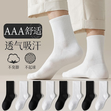 白色袜子男女中筒袜学生开学常备吸汗防臭长袜薄款棉四季运动袜子
