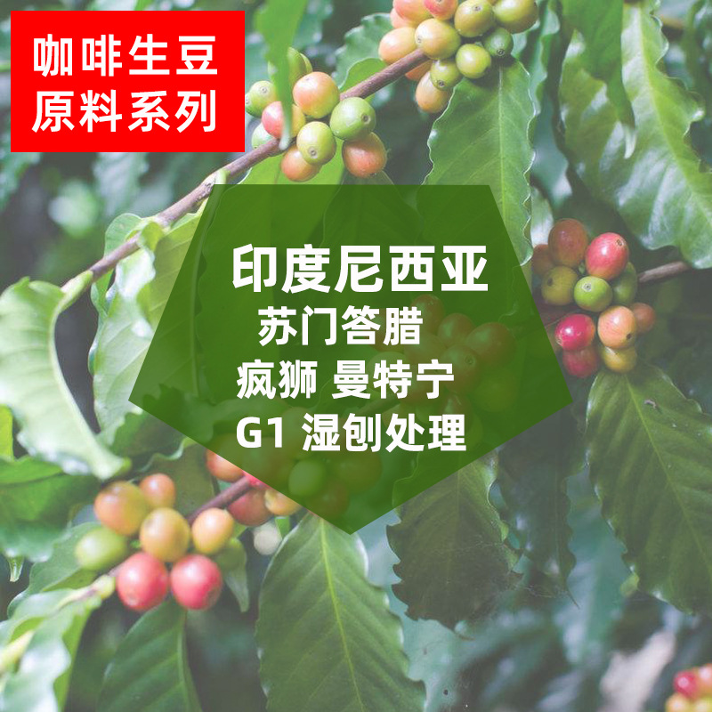 印度尼西亚苏门答腊疯狮曼特宁G1湿刨咖啡生豆批发可代烘焙磨粉