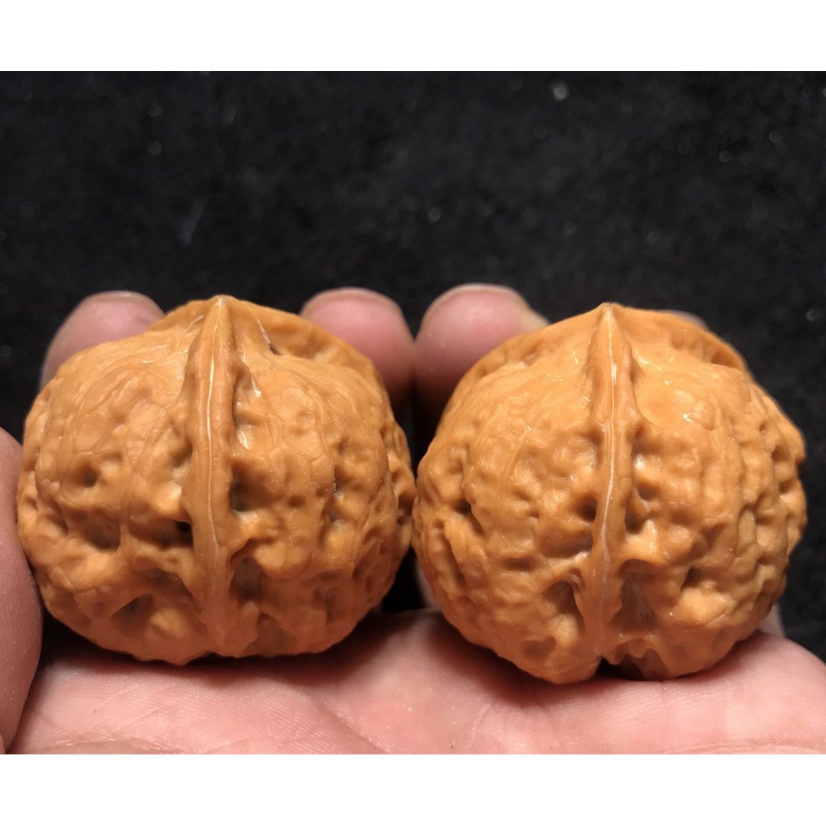 文玩核桃三棱野生异型蛤蟆头金蟾超大正奔云南铁核桃精品把玩核桃