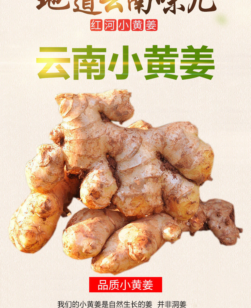 商品描述生姜种类小黄姜包装规格1斤装断姜【实惠装】,1斤装整姜