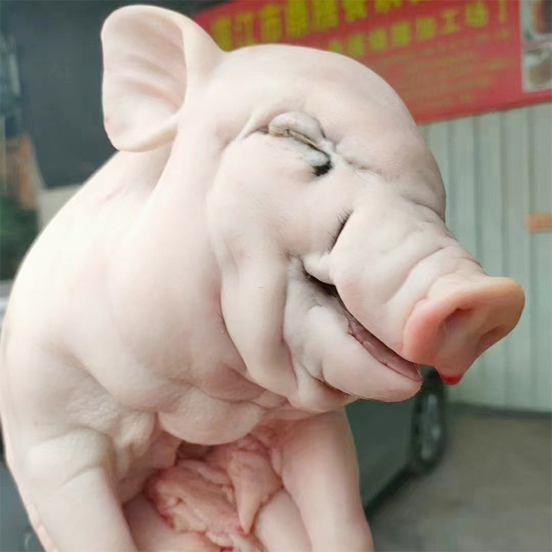 广西土白猪农家养殖乳猪冷冻生鲜乳猪半成品酒店餐饮宴会乳猪批发