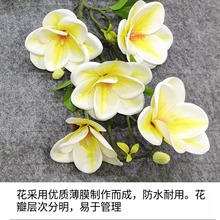 3D打印5头仿真手感胶片圆碗玉兰花插花桌面摆放高档装饰不凋零新