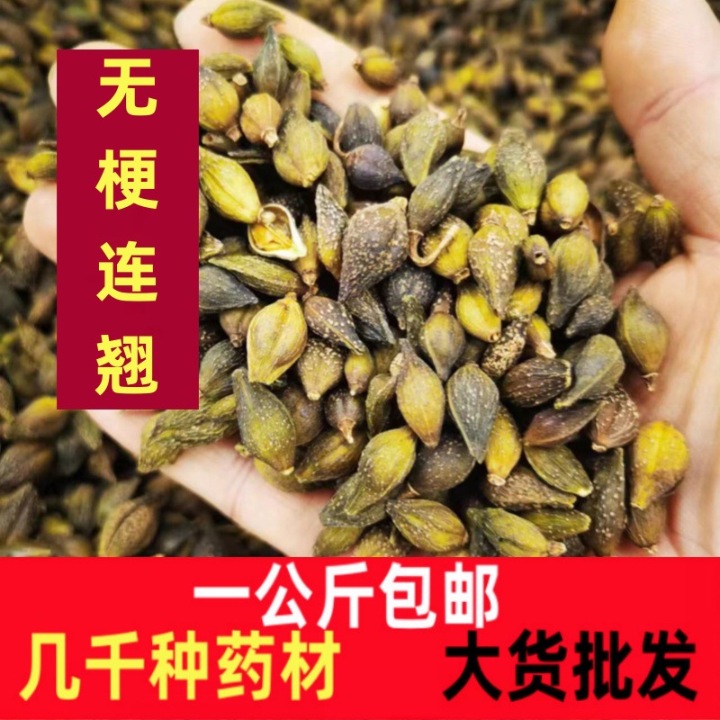 无梗连翘连翘中药材无梗青翘贯叶连翘 野黄翘老翘连翘一公斤包邮