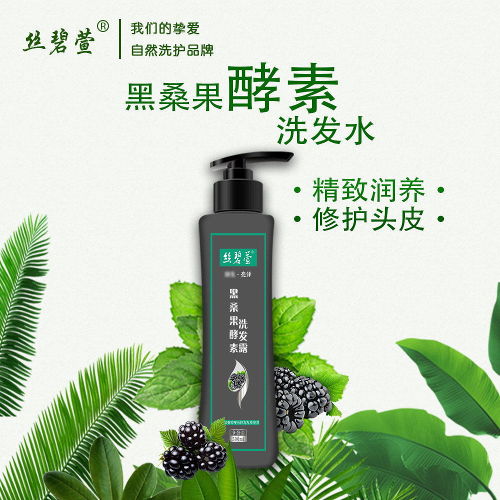 丝碧萱黑桑果酵素洗发露头皮头发双重呵护养护干涩粗糙受损发梢