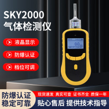 SKY-2000气体检测仪复合式多种气体检测仪有毒有害气体报警检测仪