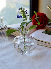 迷你小花器玻璃小石榴房子花瓶 每天一枝 每天不一样心情跨境专供