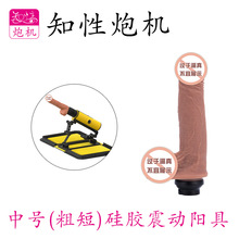 成入性用品自尉棒假阳具可插入女性电动玩具（小号硅胶震动阳具）