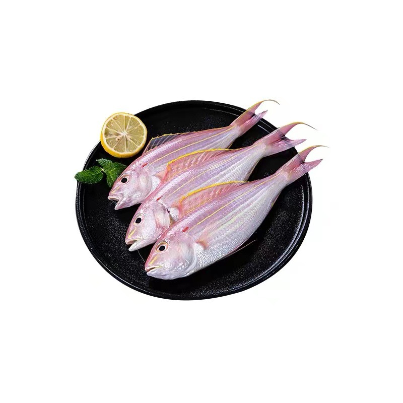红三鱼 冷冻 金线鱼 三去红三鱼 无头红衫鱼 油炸