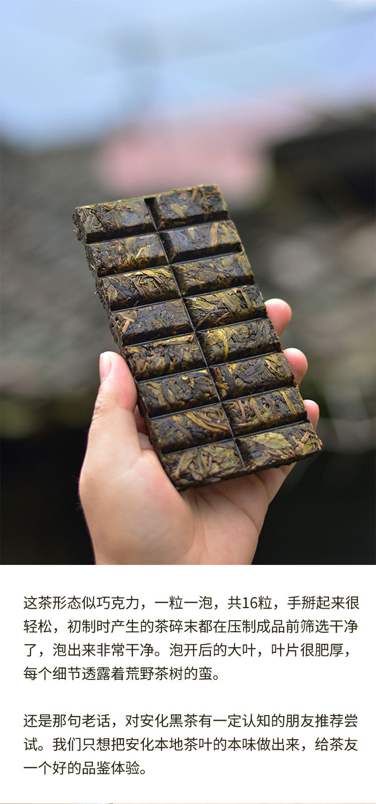 品鉴荒野茶湖南安化黑茶厂家直销 巧克力贡尖黑砖茶一件代发100g