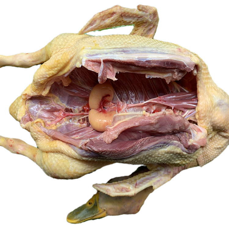 农家生态粮食鸭麻鸭稻草烟熏土鸭子活鸭老鸭番鸭嫩鸭青头鸭肉整只