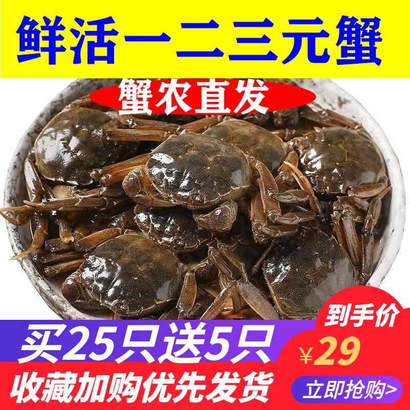 六月黄大闸蟹小螃蟹鲜活一元蟹毛蟹醉蟹0.