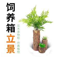 实木置物树洞守宫饲养箱陆龟蜥蜴热带雨林立柱植物造景装饰