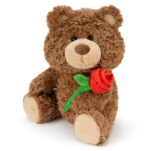 抱抱可爱玫瑰花小熊公仔小号泰迪熊玩偶布娃娃毛绒女生情人节礼物