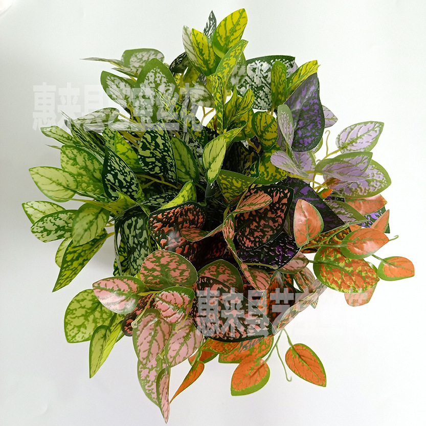 仿真刀枪叶 5头星点木 植物草坪仿真把束叶子 植物墙配材配件装饰