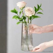 花瓶简约透明玻璃花瓶桌面水养玫瑰瓶风客厅插花摆件厂家直销批发