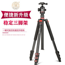 轻装时代Q530铝合金摄影摄像手机单反相机专业便携三脚架 tripod