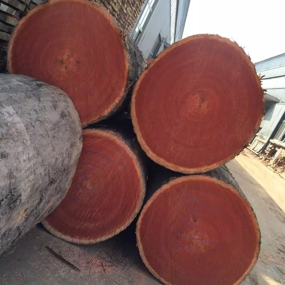 米仔兰原木木材 米仔兰防腐建筑 米仔兰家具