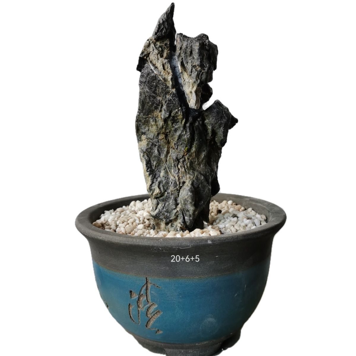 开槽附石天然英石奇石附树石符石盆景批发盆景造形可选